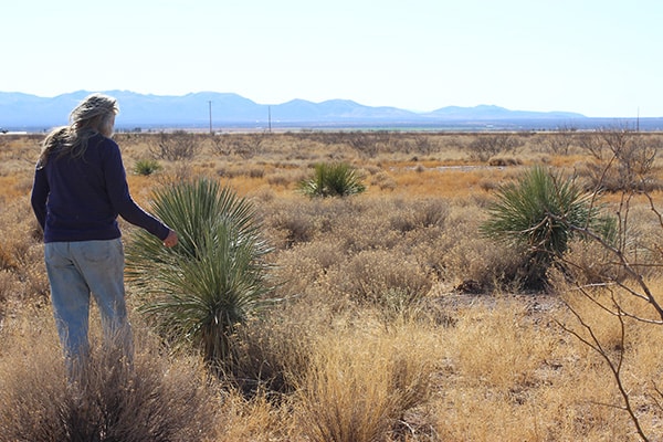 A person with long gray hair, wearing a dark shirt and light pants, stands in a dry, grassy desert landscape with scattered bushes and distant mountains under a clear sky.