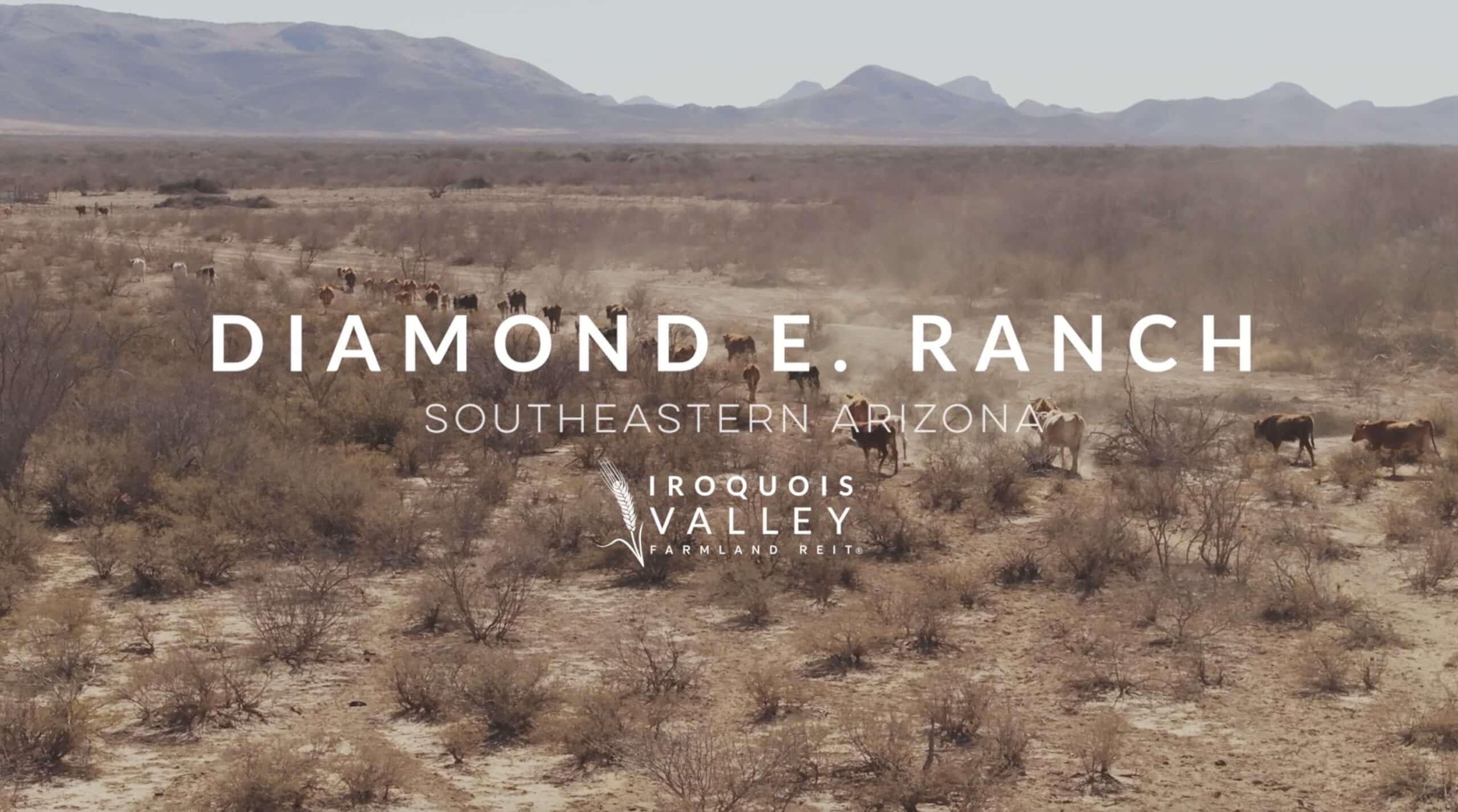 A dry, brushy landscape with scattered cattle grazing, distant mountains, and text reading “Diamond E. Ranch, Southeastern Arizona, Amber Farmland Investments.”.