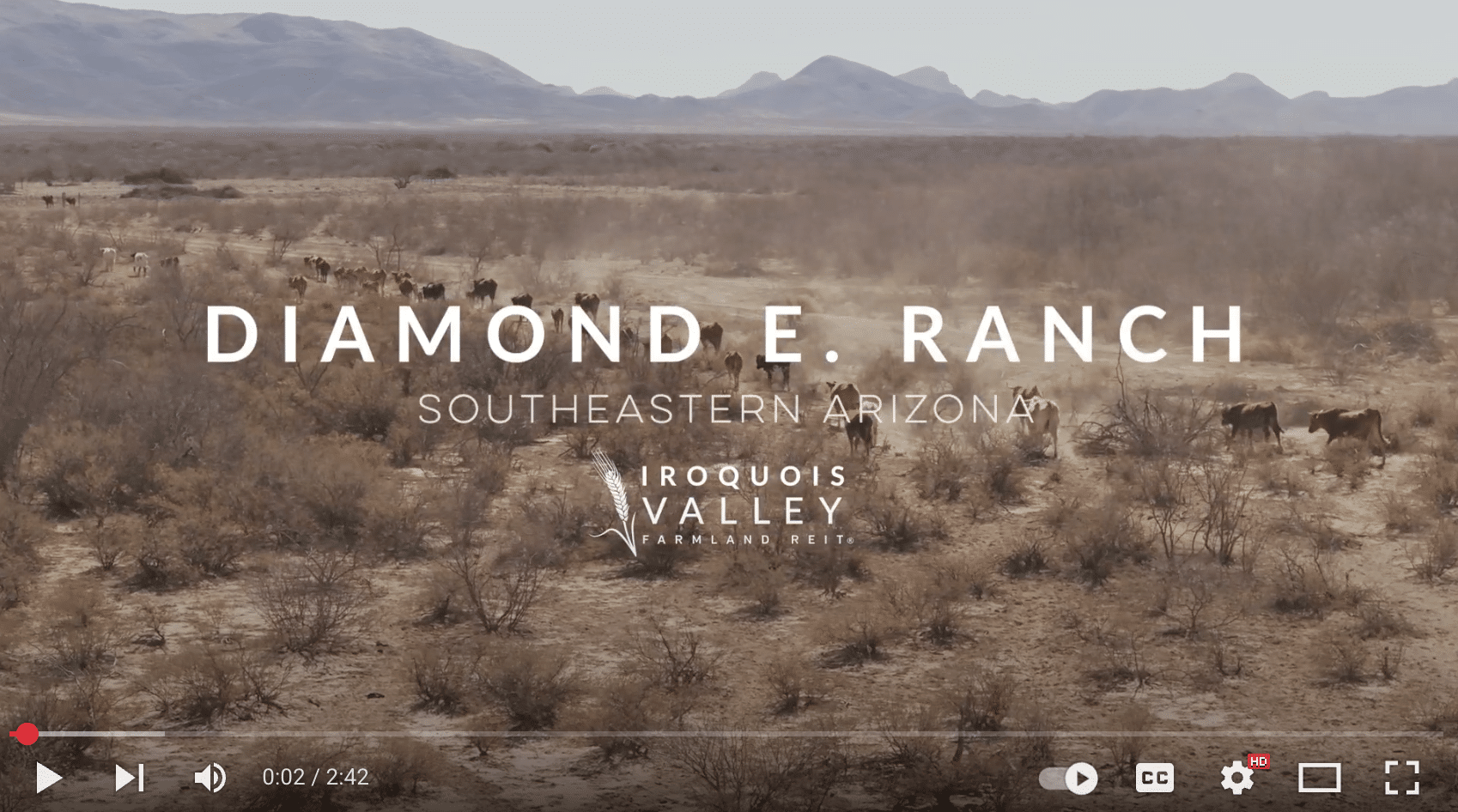 Aerial view of cattle grazing on a dry, brushy landscape with mountains in the background. Text on screen reads "Diamond E. Ranch Southeastern Arizona Amber Farmland Investments." YouTube video player controls are visible.