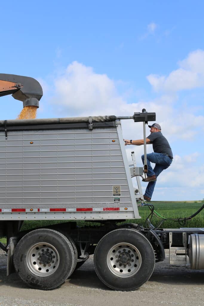 A man climbs the side of a large silver truck as corn is being poured into it from an overhead chute against a background of green fields and a partly cloudy sky.