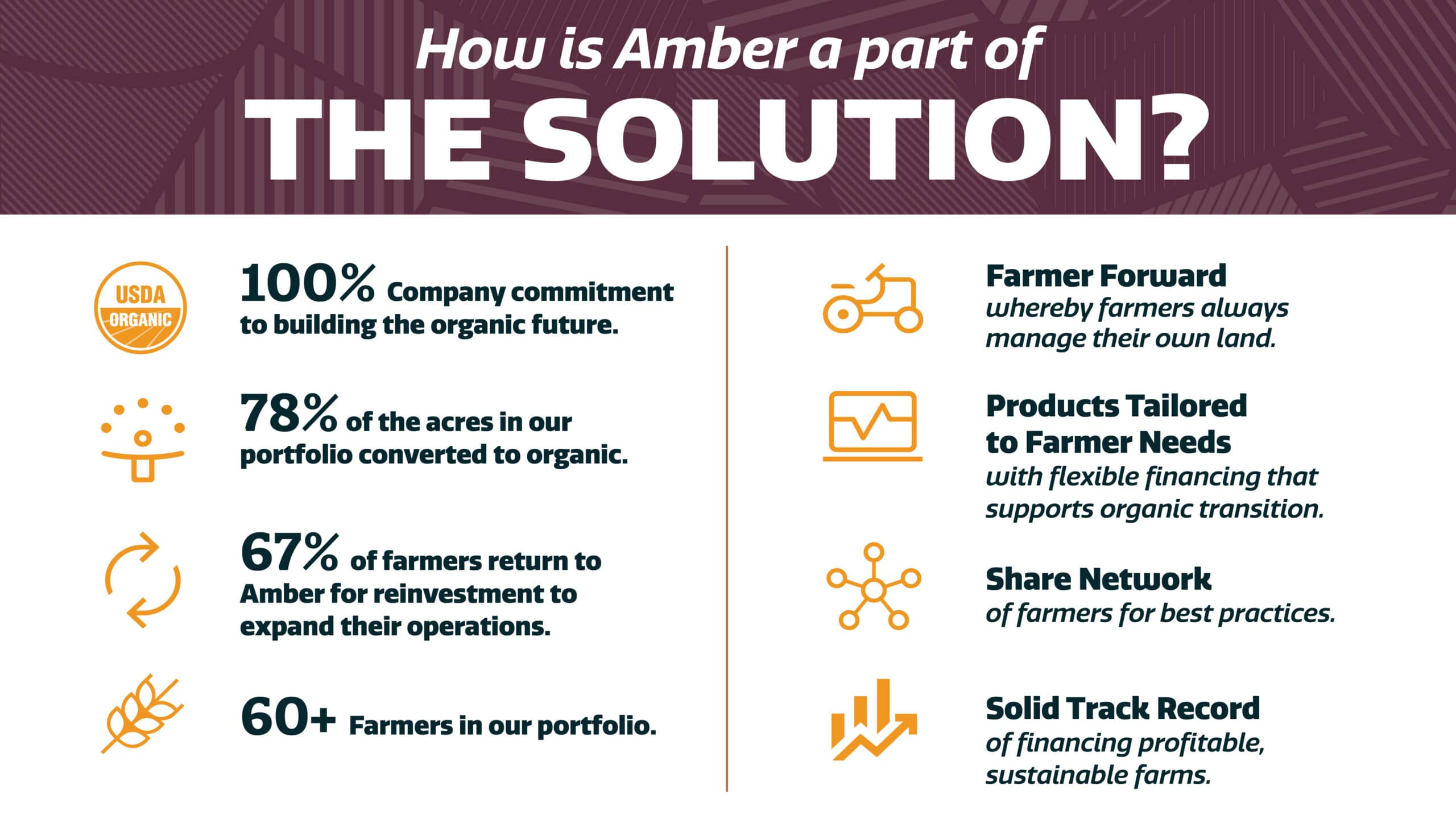 Infographic titled “How is Amber a part of THE SOLUTION?” shows organic farming stats, such as 100% company commitment and 78% organic acres, alongside icons and benefits like tailored products and a strong farmer network.