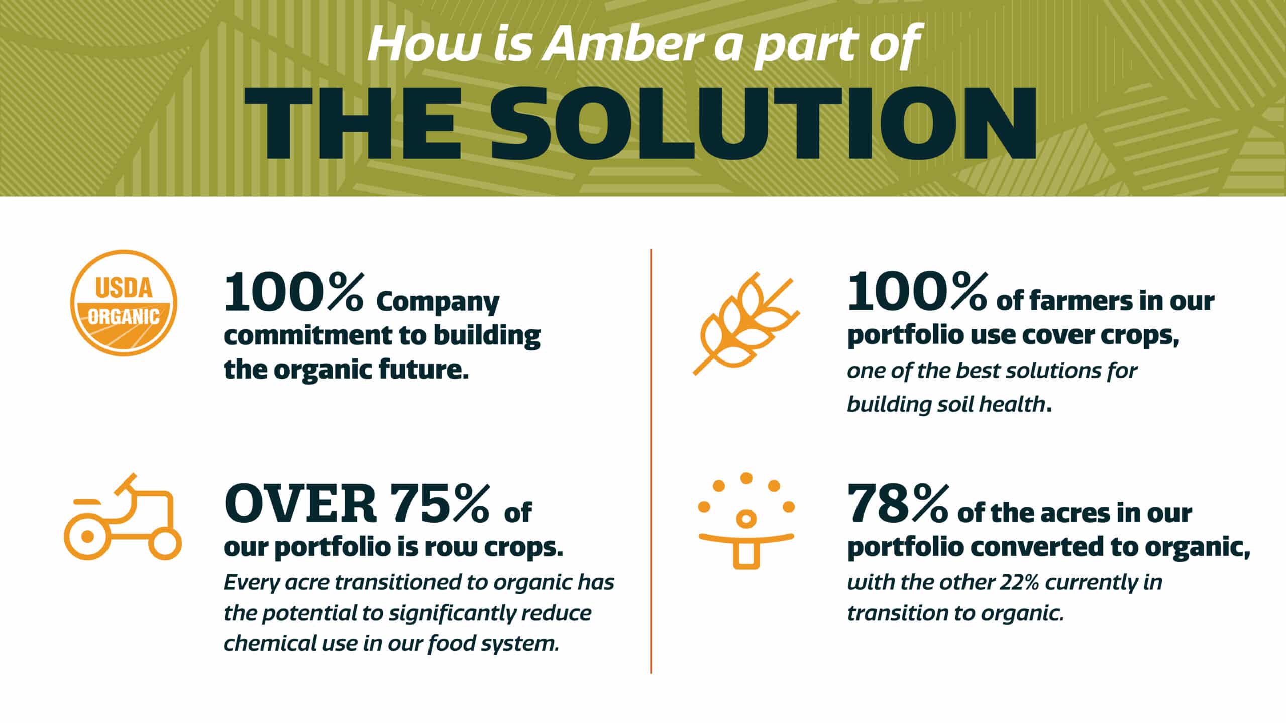 Infographic titled “How is Amber a part of THE SOLUTION” with four organic farming stats, USDA Organic logo, and icons for farming, crops, and growth against a green patterned background.