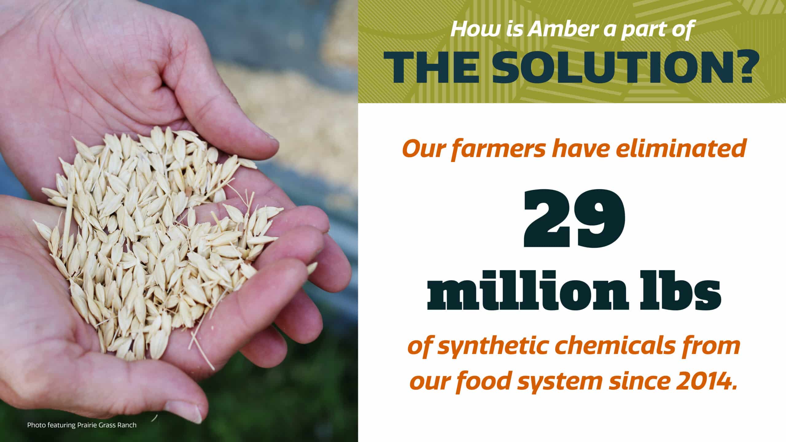 Hands hold a pile of grains. Text reads: “Our farmers have eliminated 29 million lbs of synthetic chemicals from our food system since 2014.” Background shows crops and green and orange colors.
