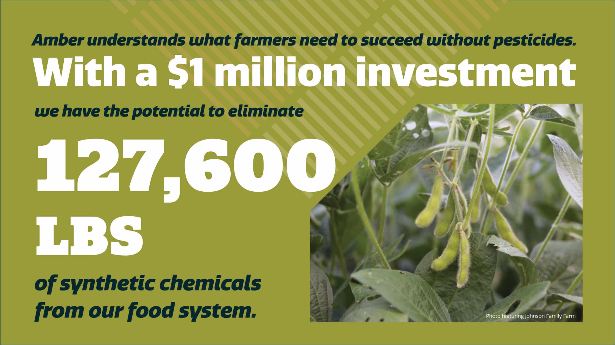 Infographic shows soybeans on a plant and text stating that a $1 million investment could eliminate 127,600 lbs of synthetic chemicals from the food system, supporting pesticide-free farming.