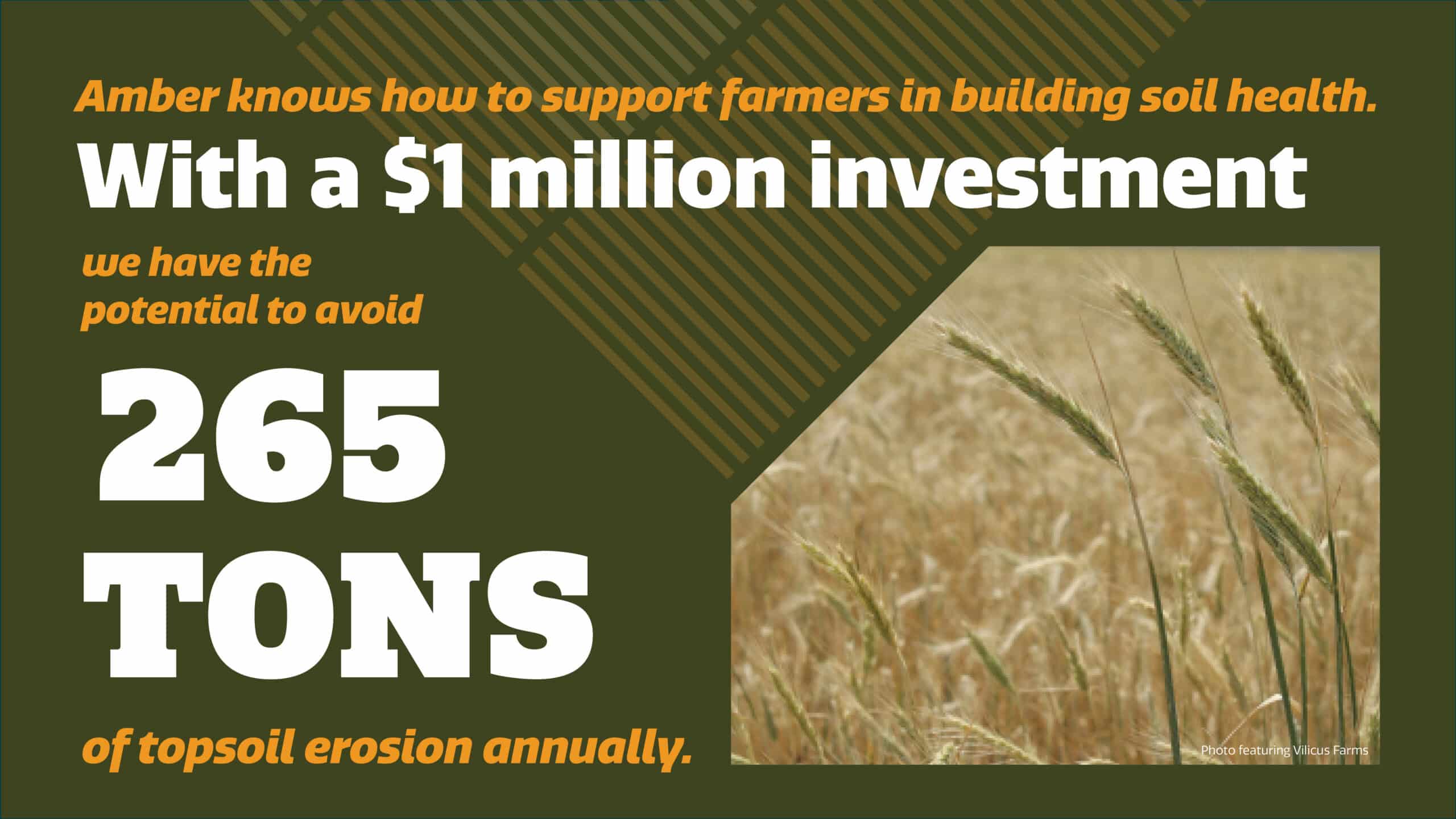 Text reads: With a $1 million investment, we can avoid 265 tons of topsoil erosion annually. Image shows a field of grain and graphic design accents in yellow and white on a green background.