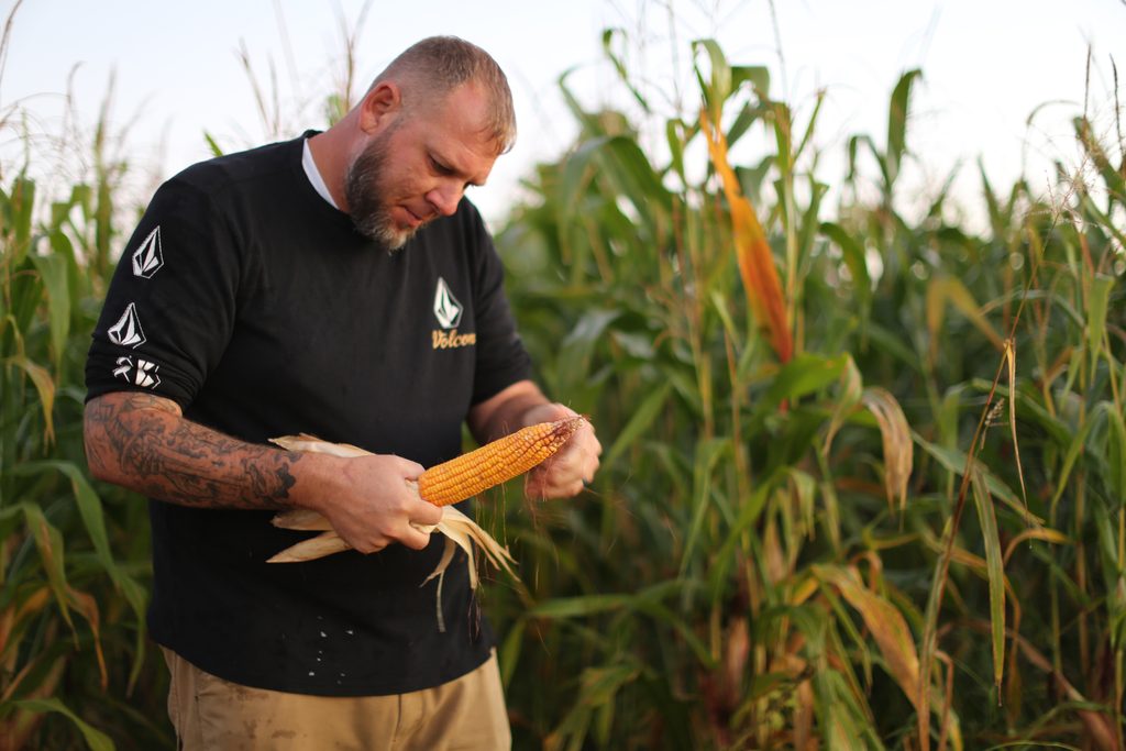 A man in a black long-sleeved shirt peels the husk from an ear of corn in a field.