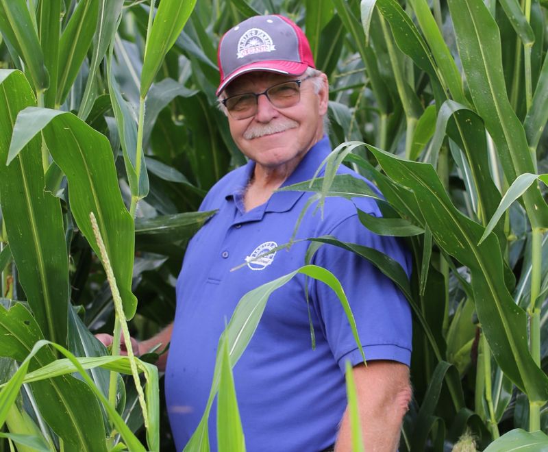An older man wearing glasses, a red cap, and a blue polo shirt stands smiling among tall green corn plants.